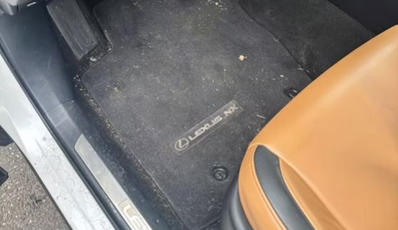Lexus NX driver floor mat