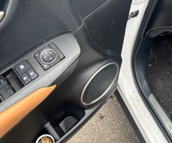Cleaned driver door panel