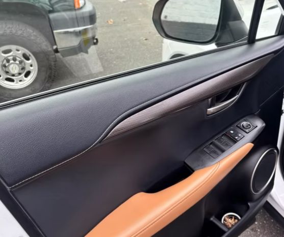 Cleaned leather door trim